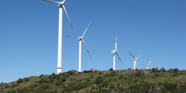 Projekt 43 turbin Vestas w Brazylii Dla EDPR